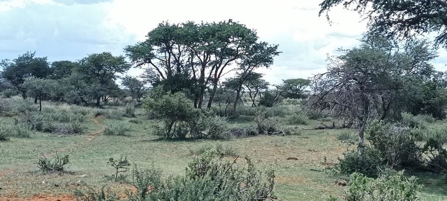 3 Bedroom Property for Sale in Boshof Free State